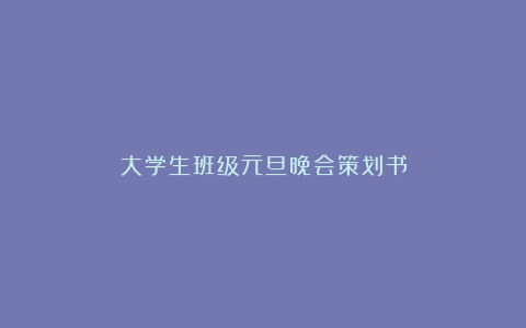 大学生班级元旦晚会策划书