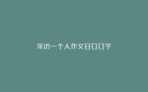 采访一个人作文800字