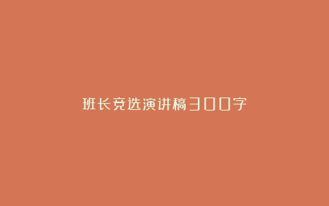 班长竞选演讲稿300字