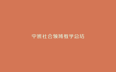 中班社会领域教学总结