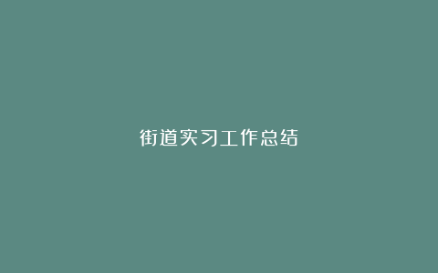 街道实习工作总结