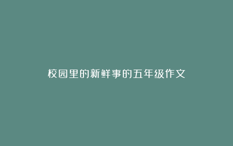 校园里的新鲜事的五年级作文