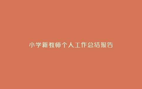 小学新教师个人工作总结报告