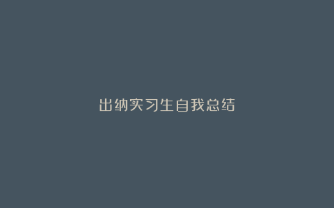 出纳实习生自我总结