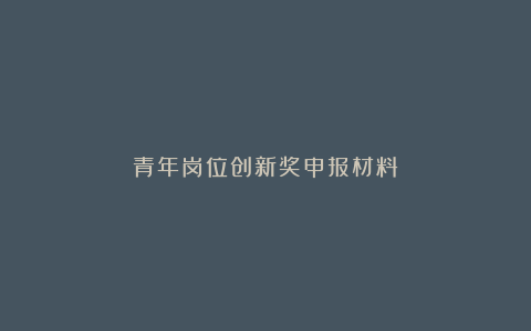 青年岗位创新奖申报材料