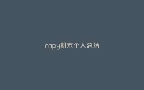 copy期末个人总结