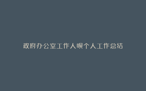 政府办公室工作人员个人工作总结