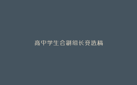 高中学生会副组长竞选稿