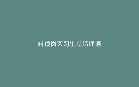 对顶岗实习生总结评语