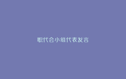 职代会小组代表发言