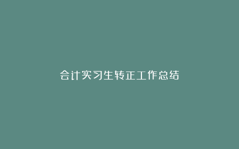 会计实习生转正工作总结