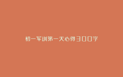 初一军训第一天心得300字