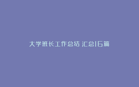 大学班长工作总结（汇总16篇）