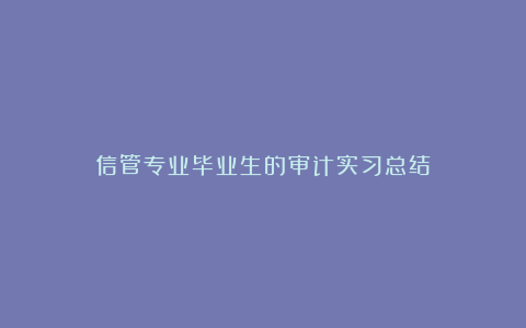 信管专业毕业生的审计实习总结