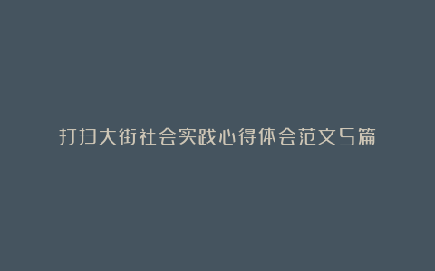 打扫大街社会实践心得体会范文5篇