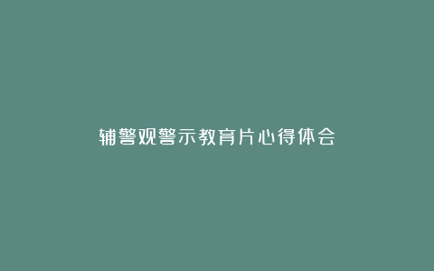 辅警观警示教育片心得体会