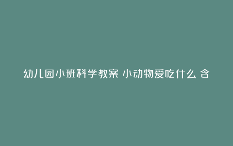 幼儿园小班科学教案《小动物爱吃什么》含反思