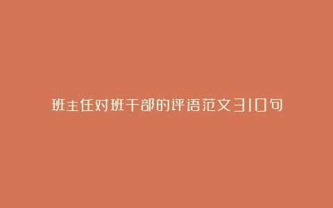 班主任对班干部的评语范文310句