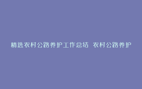 精选农村公路养护工作总结 农村公路养护工作总结范文5篇