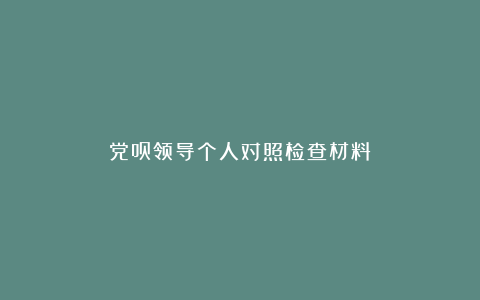 党员领导个人对照检查材料