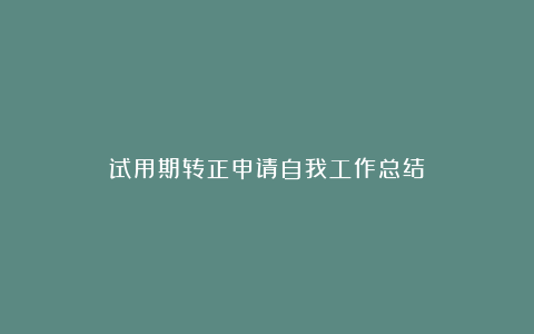 试用期转正申请自我工作总结