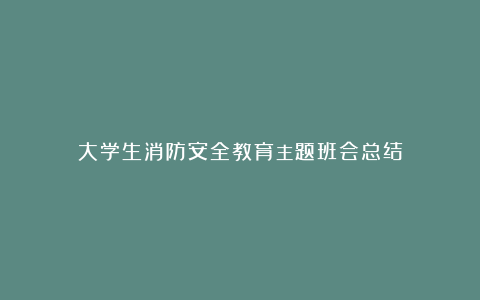 大学生消防安全教育主题班会总结