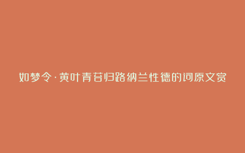 如梦令·黄叶青苔归路纳兰性德的词原文赏析及翻译