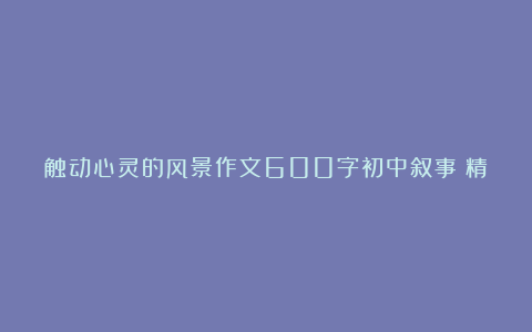 触动心灵的风景作文600字初中叙事（精选5篇）