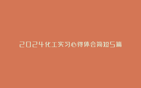 2024化工实习心得体会简短5篇