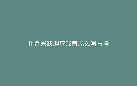 社会实践调查报告怎么写6篇