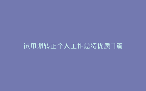 试用期转正个人工作总结优质7篇