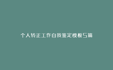 个人转正工作自我鉴定模板5篇