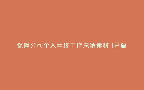 保险公司个人年终工作总结素材（12篇）