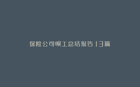 保险公司员工总结报告（13篇）