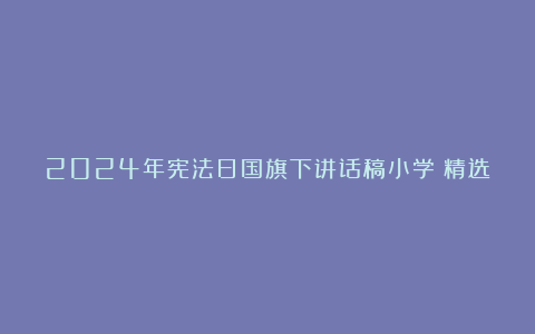 2024年宪法日国旗下讲话稿小学（精选8篇）