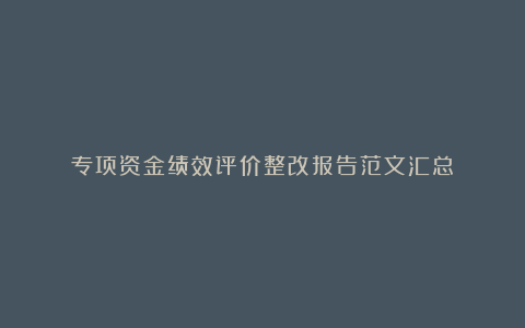 专项资金绩效评价整改报告范文汇总