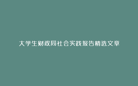 大学生财政局社会实践报告精选文章