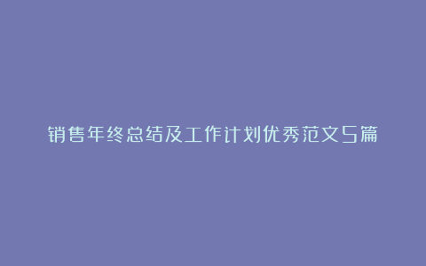 销售年终总结及工作计划优秀范文5篇