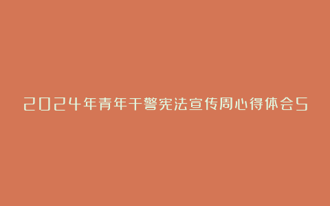 2024年青年干警宪法宣传周心得体会5篇