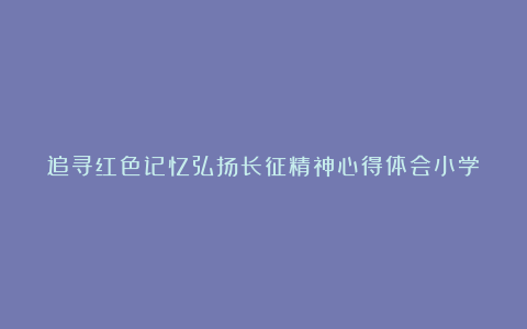 追寻红色记忆弘扬长征精神心得体会小学（精选4篇）