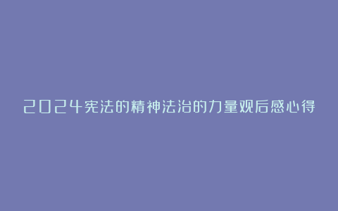 2024宪法的精神法治的力量观后感心得体会5篇