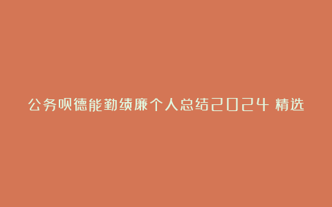 公务员德能勤绩廉个人总结2024（精选）