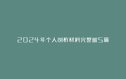 2024年个人剖析材料完整版5篇