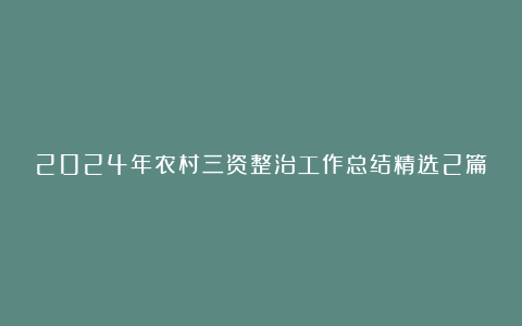 2024年农村三资整治工作总结精选2篇