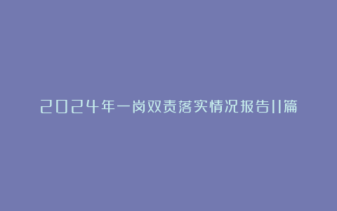 2024年一岗双责落实情况报告11篇