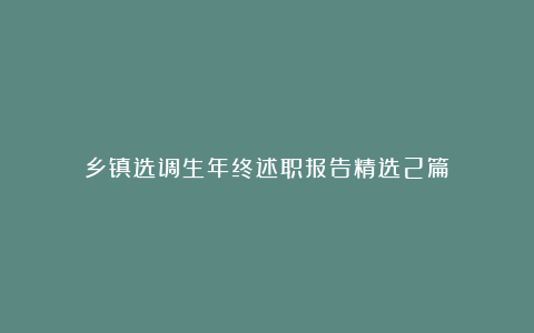 乡镇选调生年终述职报告精选2篇