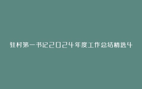 驻村第一书记2024年度工作总结精选4篇