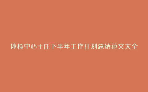 体检中心主任下半年工作计划总结范文大全