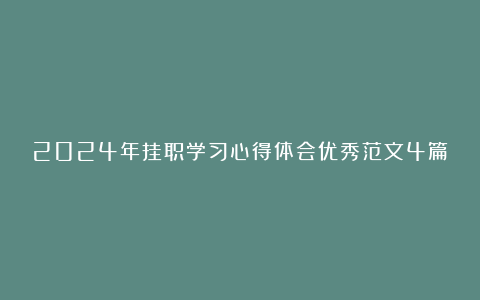 2024年挂职学习心得体会优秀范文4篇