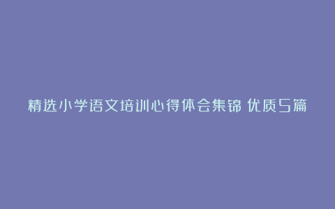 精选小学语文培训心得体会集锦（优质5篇）